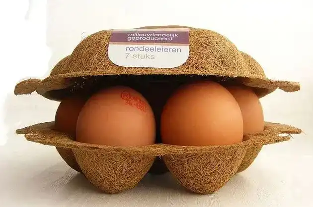 What is the Most Sustainable Packaging Material Today?
